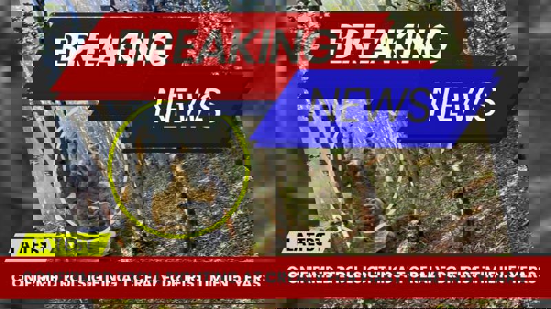 Youtube Thumbnail VIDEO5.Jpg 750X421