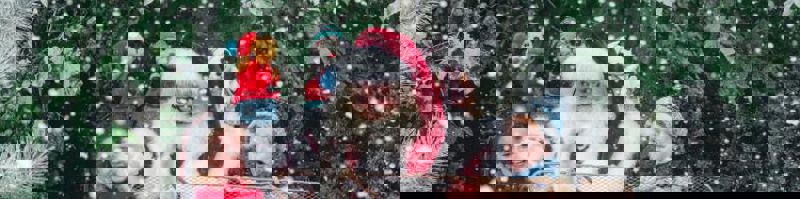 Blog Banner.Png 750X187
