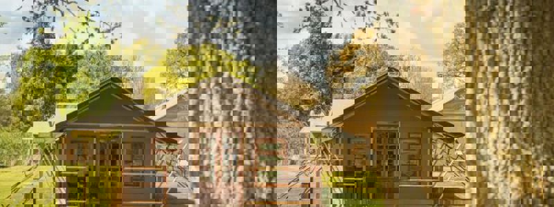 (Steve Haywood 2017)DSC 3636.Jpeg 750X281