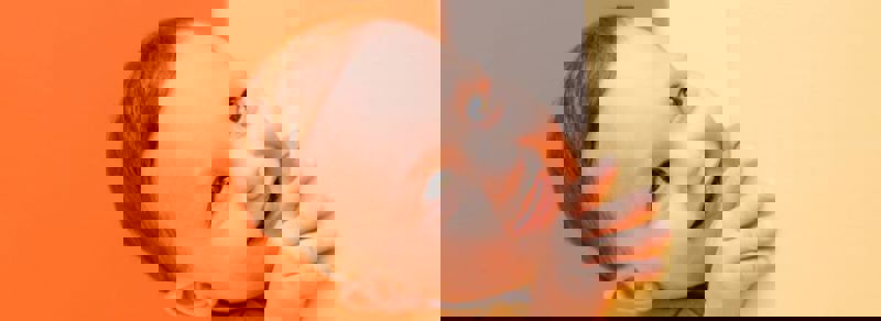 Phpthumb Generated Thumbnail