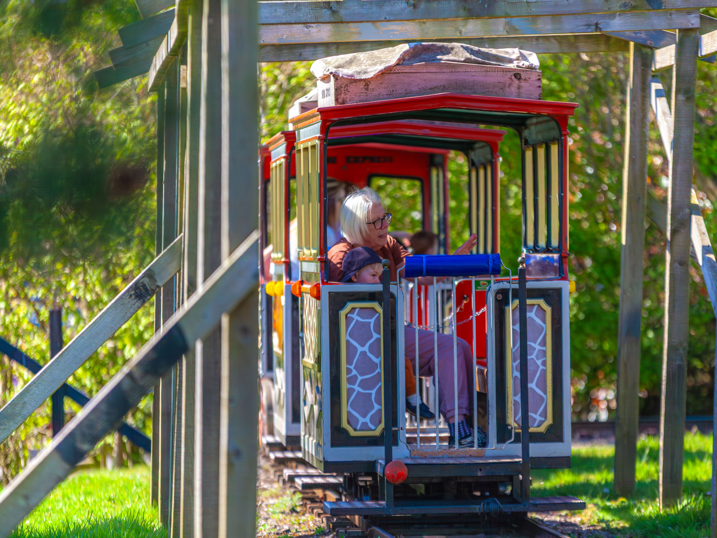 Safari Express | Rides and Attractions | Crealy Theme Park