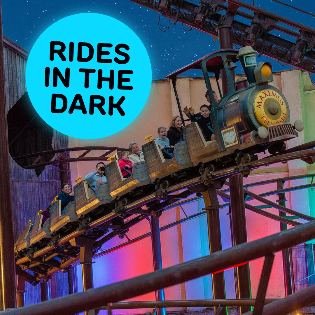 1080X1080 Light Fest RIDES