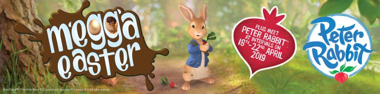 2000X500 Easter(1).Png 750X187