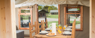 Safari Glamping(1)