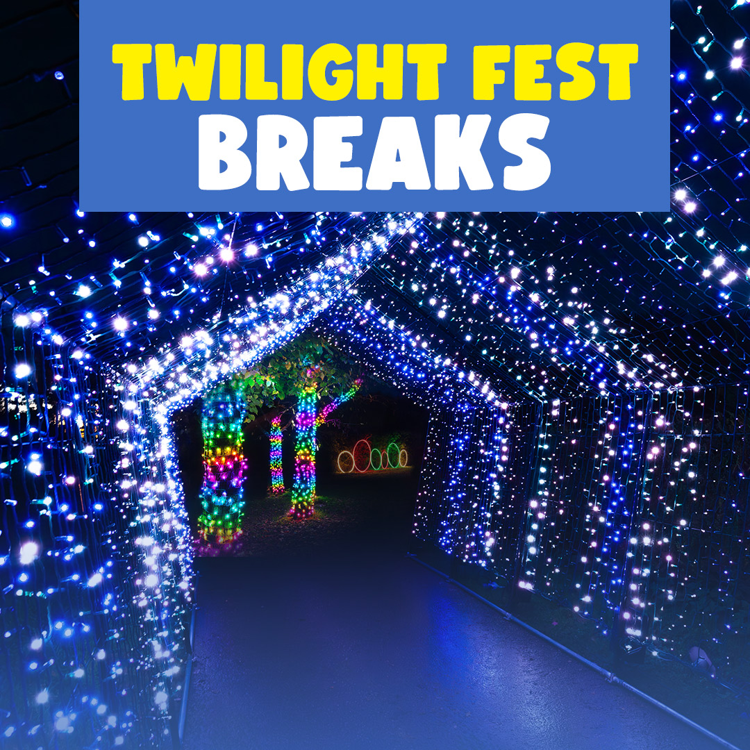 1080X1080 Web Tile Twilight Breaks (1)