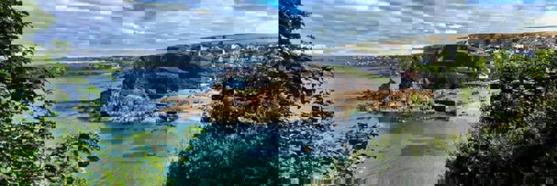 Blog Header.Jpg 750X250