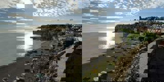 Beer Beach(2)