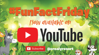 Now Available On Youtube Social Post (1)