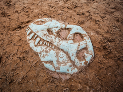 Dino Dig