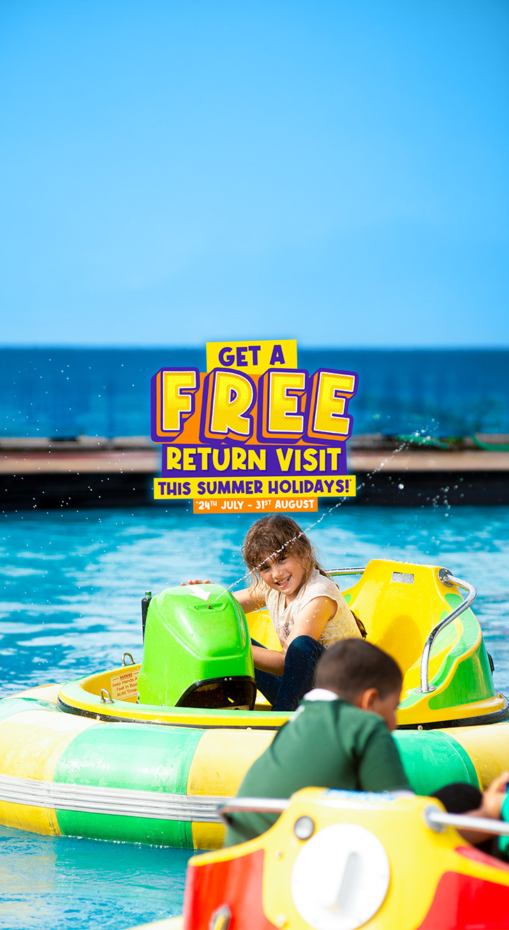 730X1334 Free Return Mobile Header