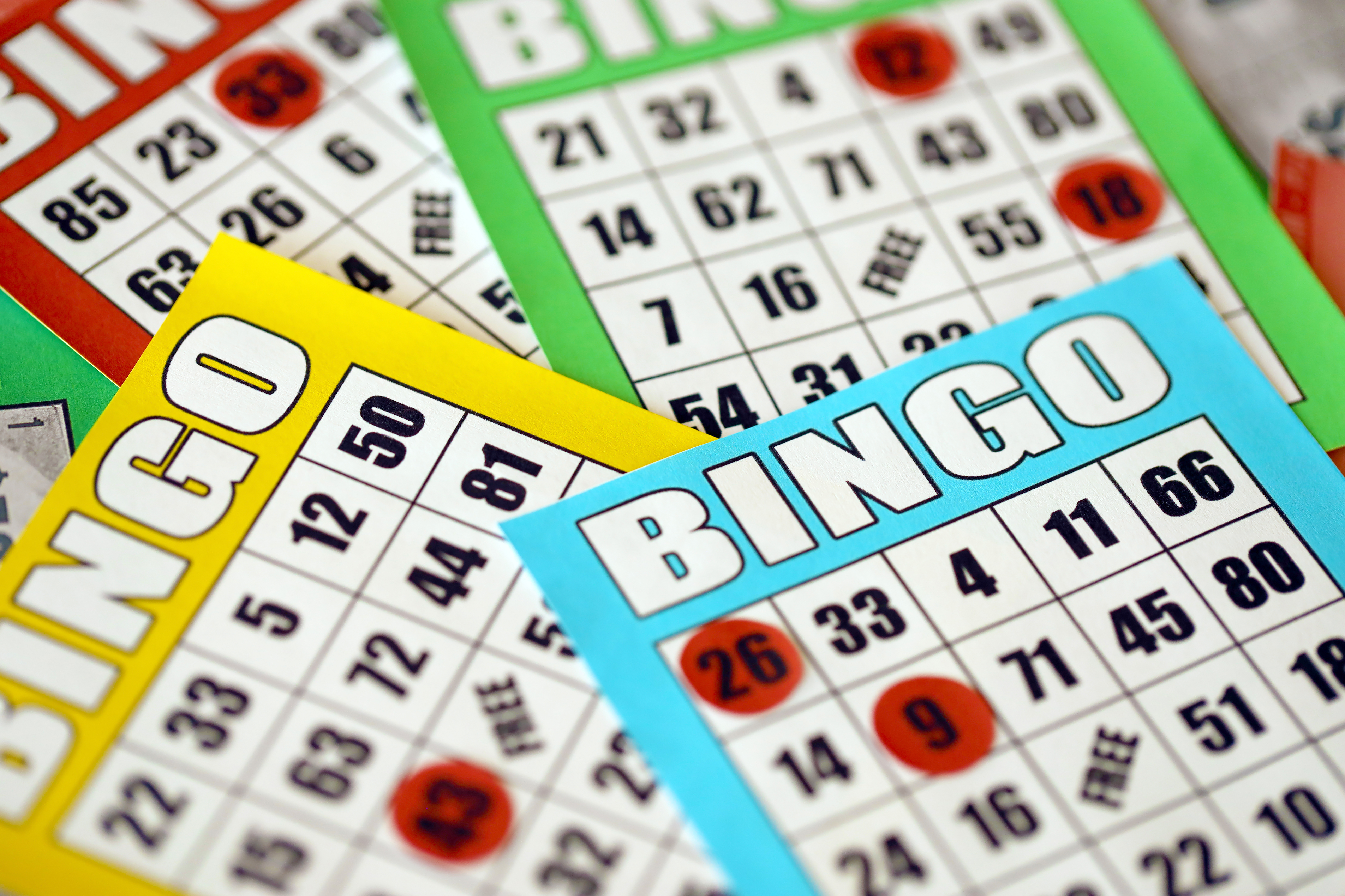 Bingo