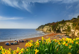 Beer Beach