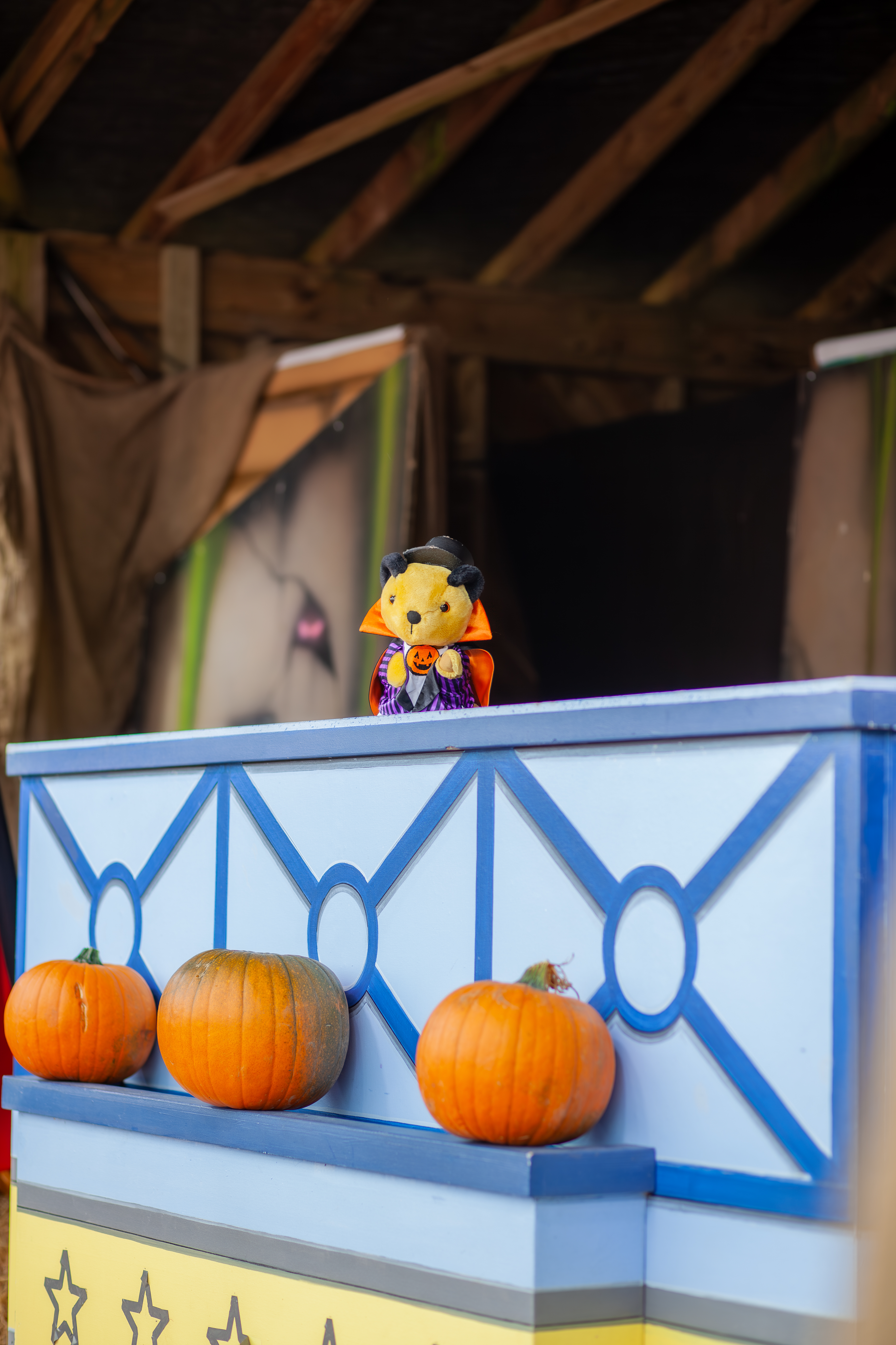 MG 2782 Enhanced NR (1)