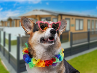 Dog Lodges